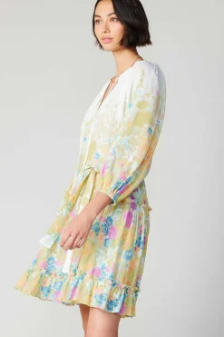 Clearance Gradient Floral Motif Mini Dress Women Mini Dresses