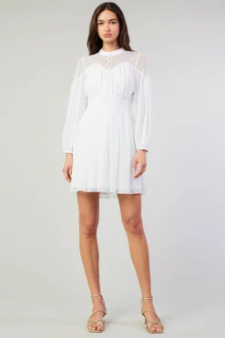 Online Palermo Lace Collared Mini Dress Women Mini Dresses