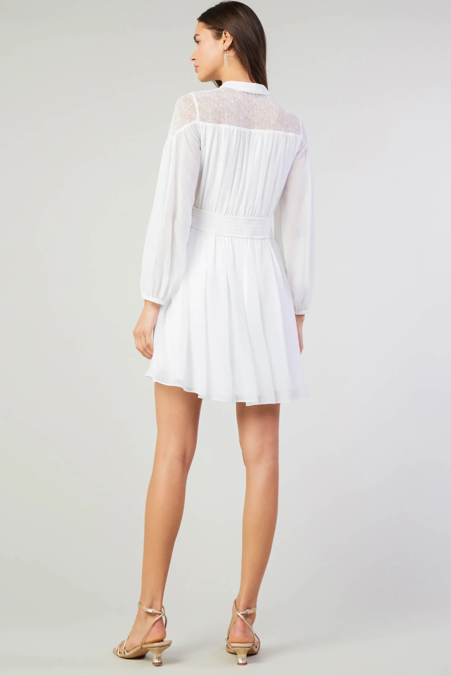 Online Palermo Lace Collared Mini Dress Women Mini Dresses